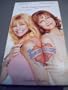 The Banger Sisters [VHS]