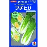 タケノコ白菜 プチヒリ 小袋