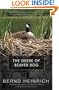 The Geese of Beaver Bog