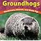 ...and the Groundhog shall inherit the earth...