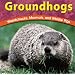 Groundhogs: Woodchucks, Marmots, and Whistle Pigs (Wild World of Animals (Bridgestone))