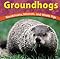 Groundhogs: Woodchucks, Marmots, and Whistle Pigs (Wild World of Animals)