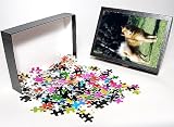 Photo Jigsaw Puzzle of dog-finnish spitz from Animal Photography