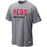 Nike Cincinnati Reds Ash MLB Practice T-shirt