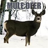 Mule Deer 2006 Calendar