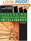 Assessing Adolescent and Adult Intelligence, Third Edition