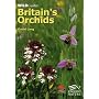 Britain's Orchids