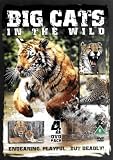 Big Cats In The Wild [2005]