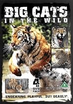 Big Cats In The Wild [2005] [DVD]