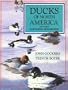 Ducks of North America and the Northern Hemisphere