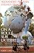 On a roul� sur la terre