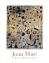 Joan Miro (A Museum of Modern Art Book)