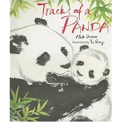 Tracks of a Panda