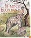 Yi-Min and the Elephants: A Story of Ancient China
