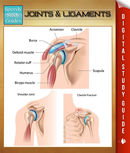 Joints & Ligaments: Speedy Study Guides