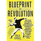 blueprint for revolution how to use rice pudding lego men and other nonviolent techniques to galvanize communities