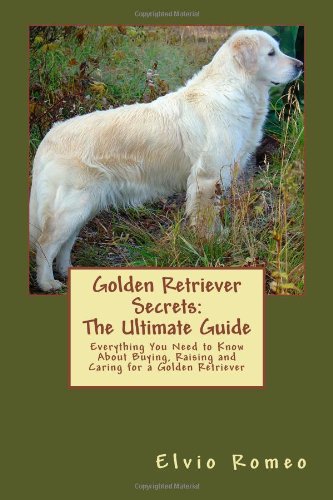 Golden Retriever Secrets: The Ultimate Guide: Everything You Need to Know About Buying, Raising and Caring for a Golden Retriever