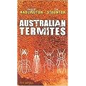 Australian Termites (Paperback)