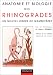 Search : Anatomie et biologie des rhinogrades. Un nouvel ordre de mammifères