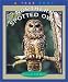 Books : Northern Spotted Owls (True Books: Animals)