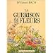 Reiki, Fleurs de Bach, spiritualit� et monde "psy"
