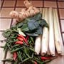 Set of Fresh Kaffir Lime Leaves, Lemon Grass, Galangal, Thai Chili