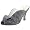 Gunmetal