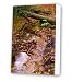 Kitchen & Housewares : Friday street stream no. 3 canvas print artwork
