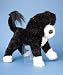 Portuguese Water Dog