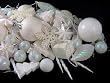 125-Piece Club Pack of Shatterproof Ice Palace White Christmas Ornaments