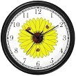 Three Lady Bugs on Black Eyed Susan Flower (Lady Bug or Lady Bird) - Ladybug - JP Animal Wall Clock by WatchBuddy Timepieces (Slate Blue Frame)