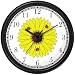 Three Lady Bugs on Black Eyed Susan Flower (Lady Bug or Lady Bird) - Ladybug - JP Animal Wall Clock by WatchBuddy Timepieces (White Frame)