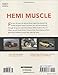 Hemi Muscle (Gallery)