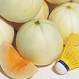 ���i�̏ڍ�