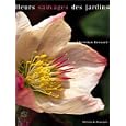 Fleurs sauvages des jardins