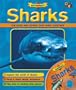 Sharks (Interfact)