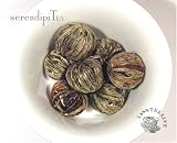 Dragon Eyeball (Chinese Green Tea) ~ 4 oz. box ~ SerendipiTea