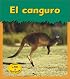 El Canguro / Kangaroo (Animales Del Zoologico)