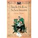 Birch Hollow Schoolmarm (Dora's Diary #1)
