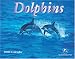Dolphins 2006 Calendar