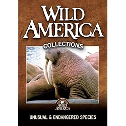 Unusual & Endangered Species Collection