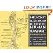 Melloni's Illustrated Review of Human Anatomy