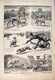 DERBY DOGS DOG CALDWELL SKETCHES PICNIC NAUMANN 1892