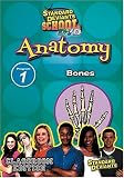 Standard Deviants School - Anatomy, Program 1 - Bones (Classroom Edition)