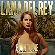 Born To Die - The Paradise Edition [Explicit] [+digital booklet]