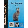 Russian Blue Cat (Pet Love)