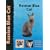 Russian Blue Cat (Pet Love)