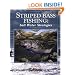 Striped Bass Fishing: Salt Water Strategies (Salt Water Sportsman)
