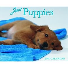 Just Puppies: 2001 Calendar