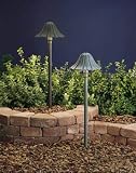 Low Voltage Path Light